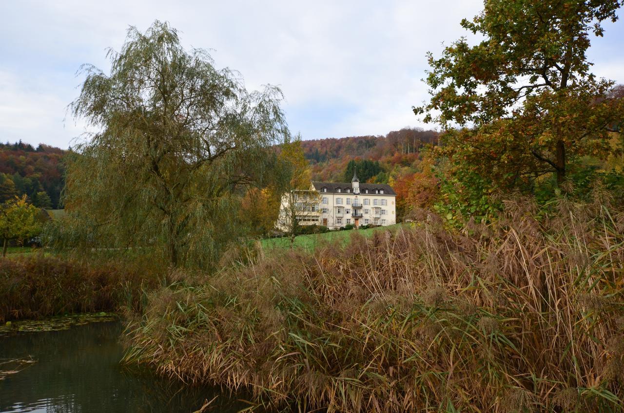 Bad Schauenburg Hotel Liestal Exterior foto